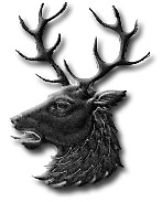 Stag Head